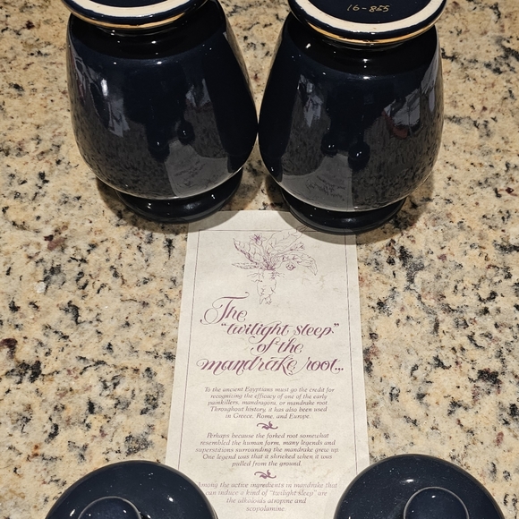 Pharmacy Apothecary Jar Set by Eli Lilly Navy & Gold - Picture 3 of 3